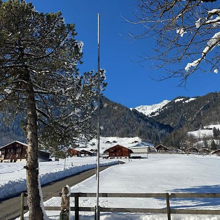 Edelweiss 4 Zi Ferienwohnung In Landhaus Frutigen Exterior foto