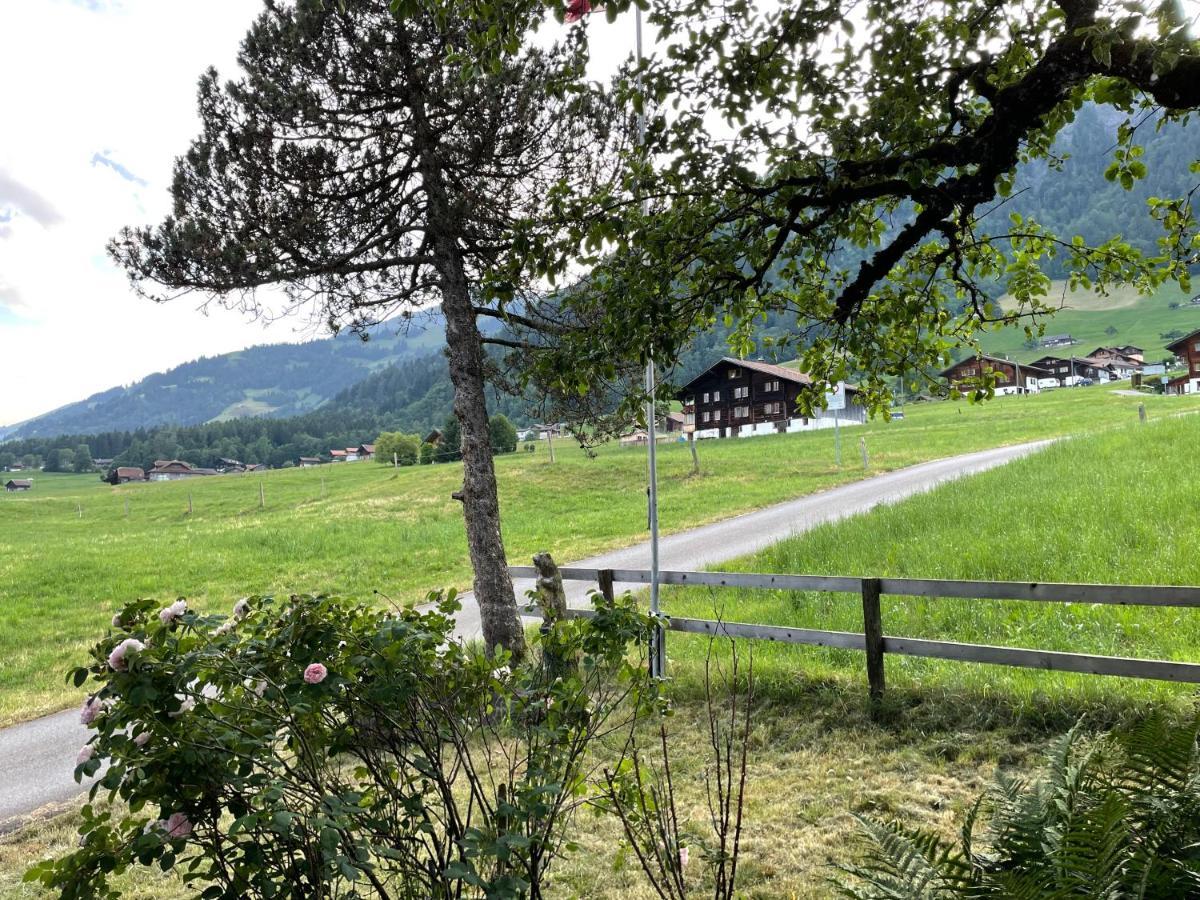 Edelweiss 4 Zi Ferienwohnung In Landhaus Frutigen Exterior foto