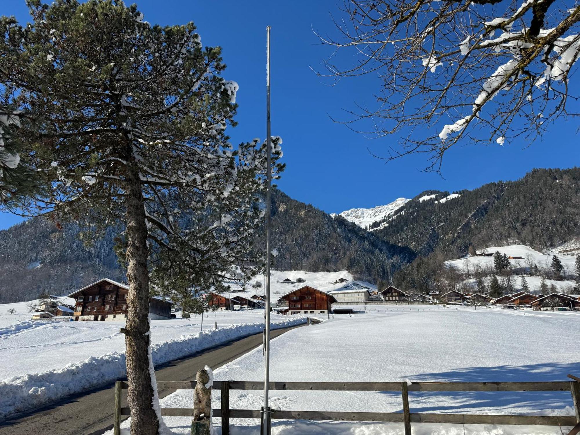 Edelweiss 4 Zi Ferienwohnung In Landhaus Frutigen Exterior foto